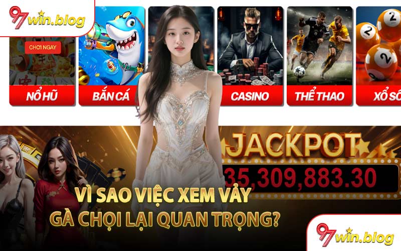 Vì Sao Việc Xem Vảy Gà Chọi Lại Quan Trọng?